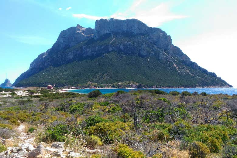 Vous pourrez admirer la nature locale