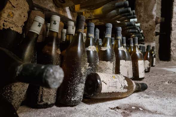 Visita guidata alla cantina Mustilli + Degustazione