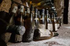 Visita guidata alla cantina Mustilli + Degustazione