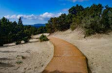Visite à vélo dans le sud de la Sardaigne
