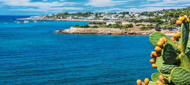 Paseo en barco por la costa de Santa María de Leuca