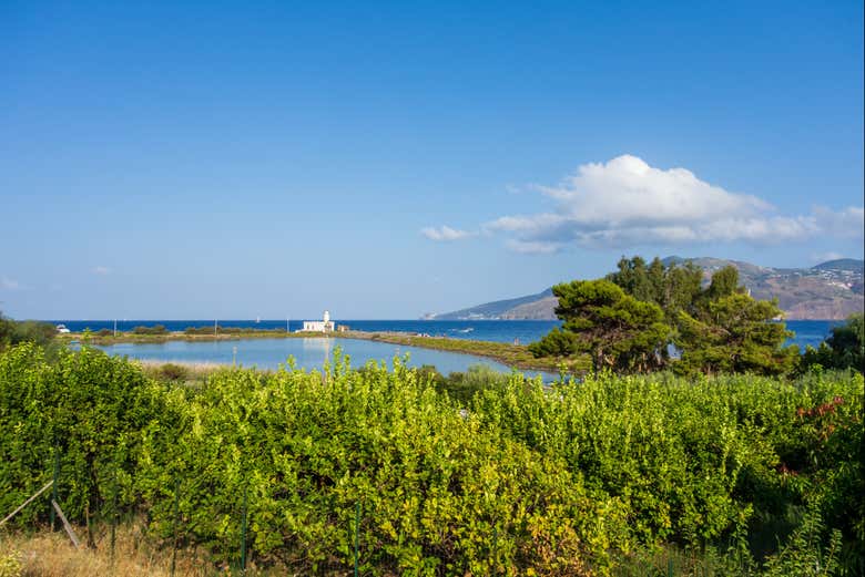 Boat Trip around Salina Island