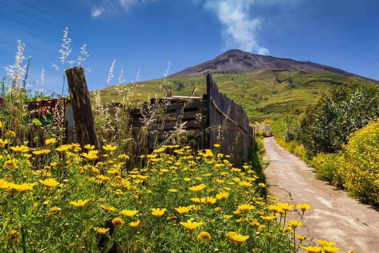 Il paesaggio di Stromboli