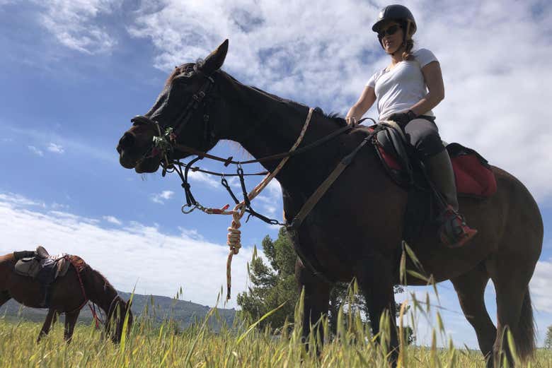 Montando o cavalo