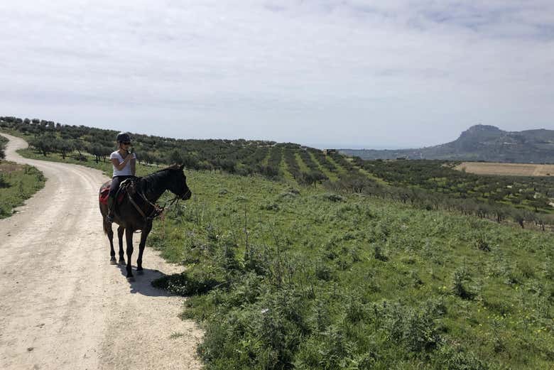 A cavalo na campina de Sciacca