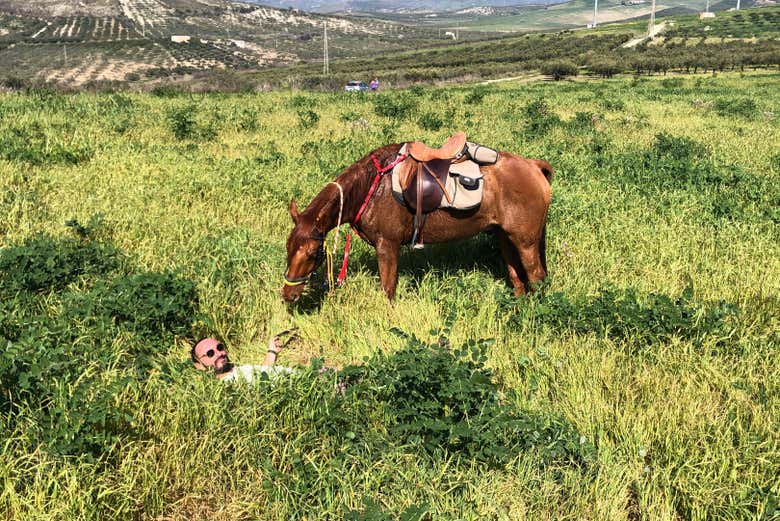 Una pausa nella natura