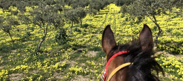 Passeggiata a cavallo a Sciacca
