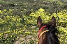 Passeio a cavalo por Sciacca