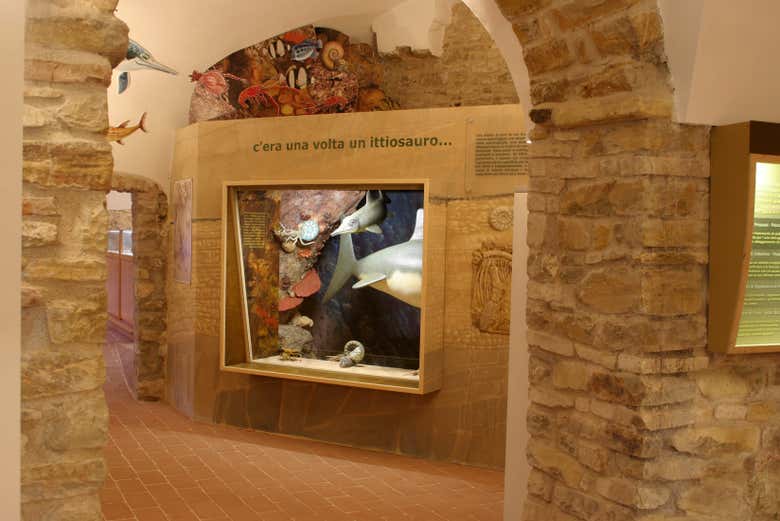 Museo di Storia Naturale