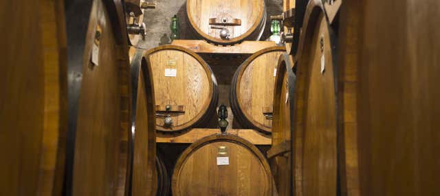 Cata de vinos en Siena