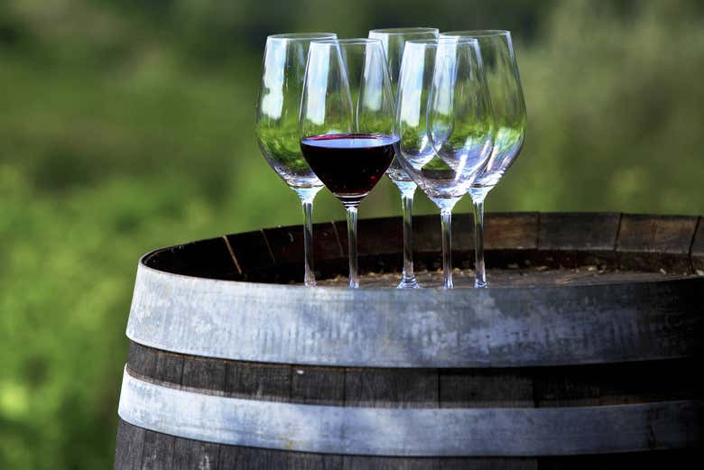 Disfrutando de la cata de vino en el Chianti