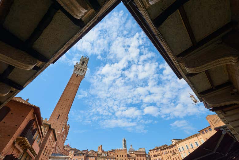Vista de la torre en la Piazza del Campo