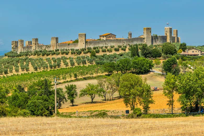 Viñedos de Monteriggioni