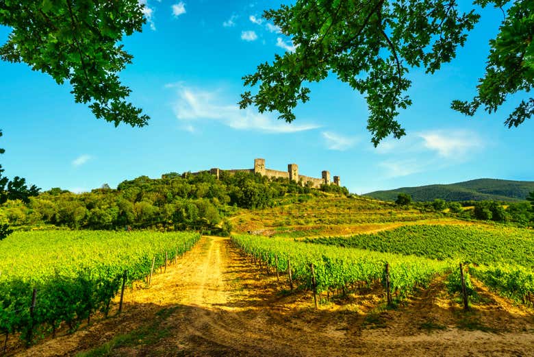 Paisajes de Monteriggioni
