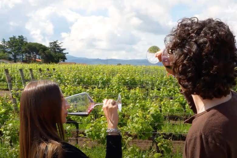 Probando los mejores vinos de la zona