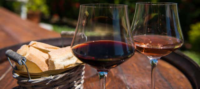 Tour del vino por el Chianti