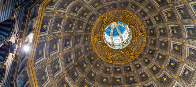 Visita guiada por Siena + Catedral
