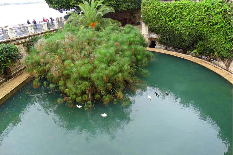 Fountain of Arethusa