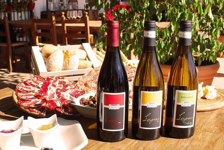 Dégustation complète de vins