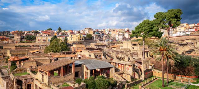 Herculaneum Day Trip