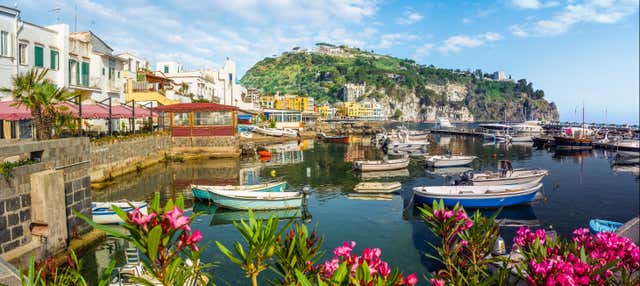 Excursión a Ischia y Procida en barco