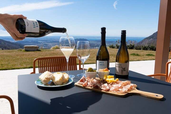 Disfrutando de la cata de vinos en Spiazzi con vistas increíbles