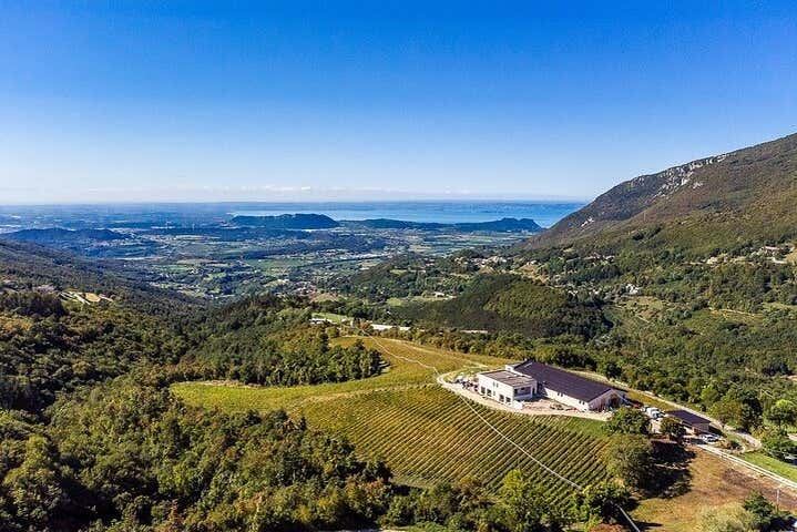 Increíbles vistas desde la bodega