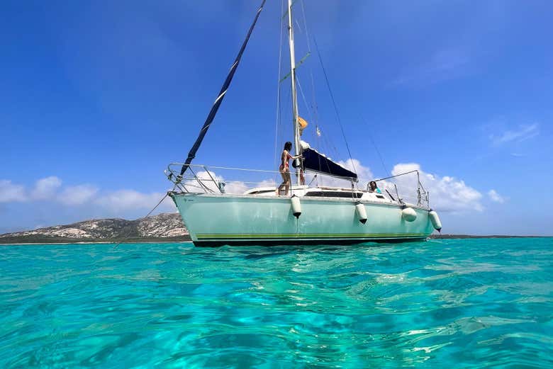 Barca a vela all'asinara