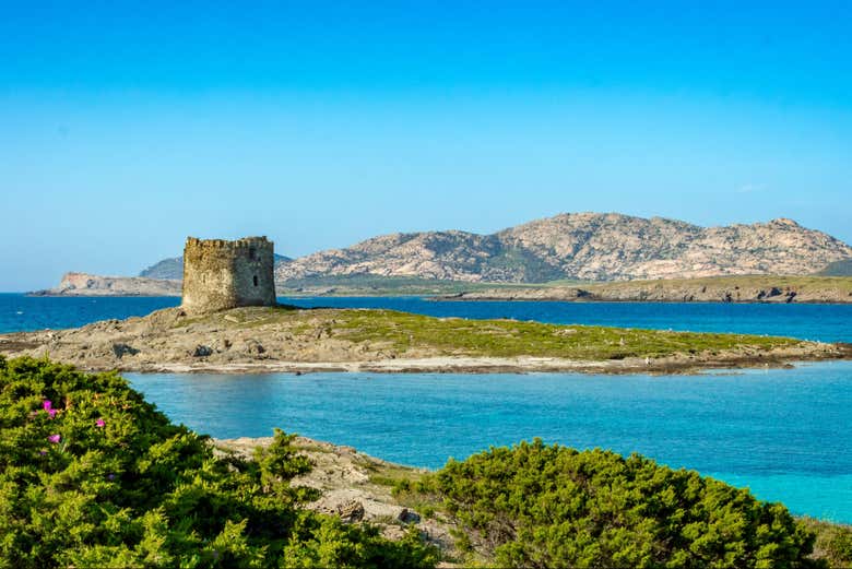 Parc national de l'Asinara