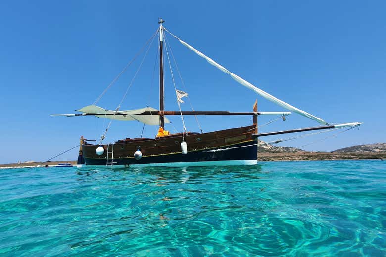 Navigando lungo le coste dell'Asinara