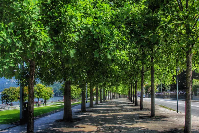 Exploring the town of Luino