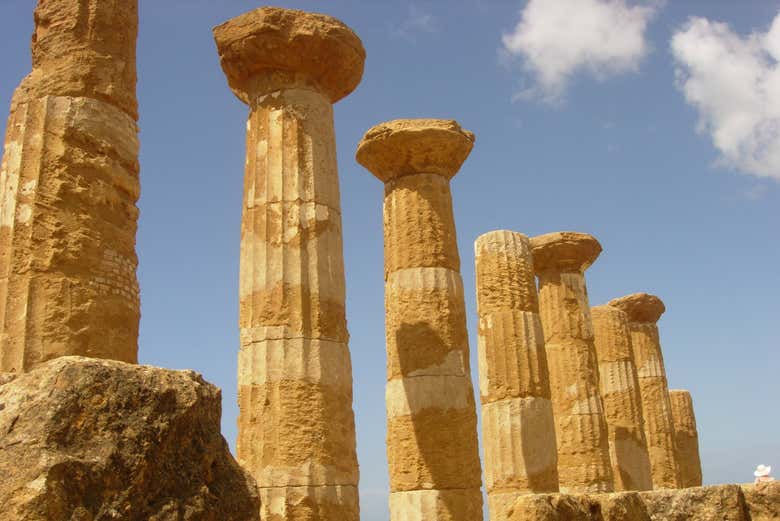 Become an expert in Greek and Roman history!