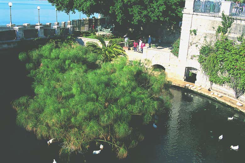 Lindos arredores de Siracusa e Ortigia