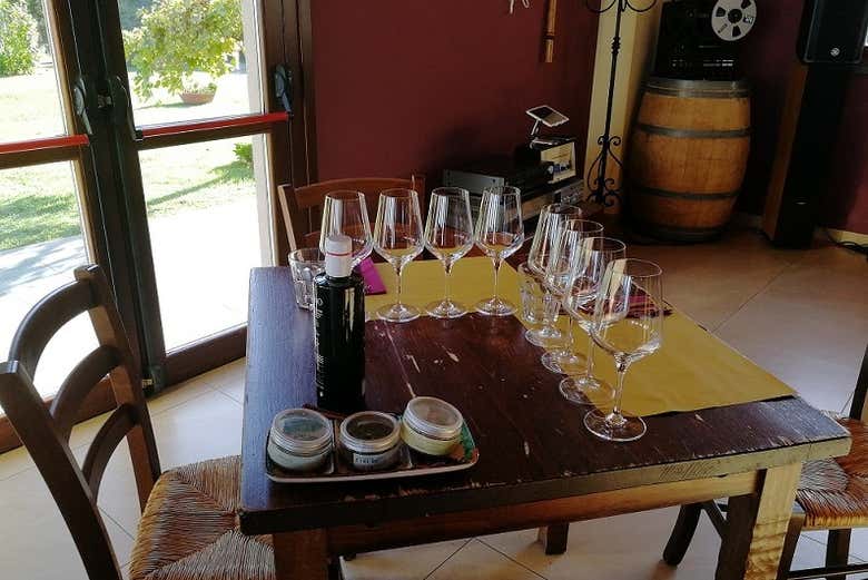 Hora de provar vinhos deliciosos!