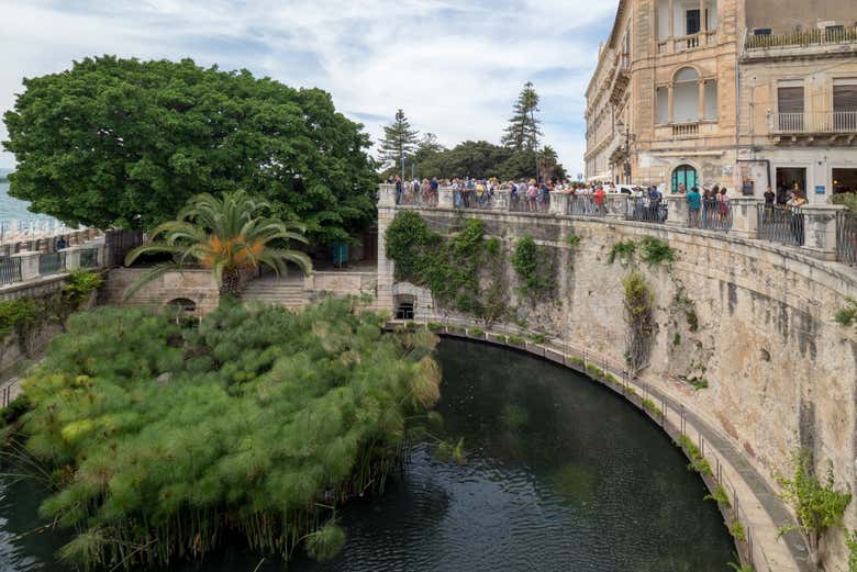 Fontana Aretusa