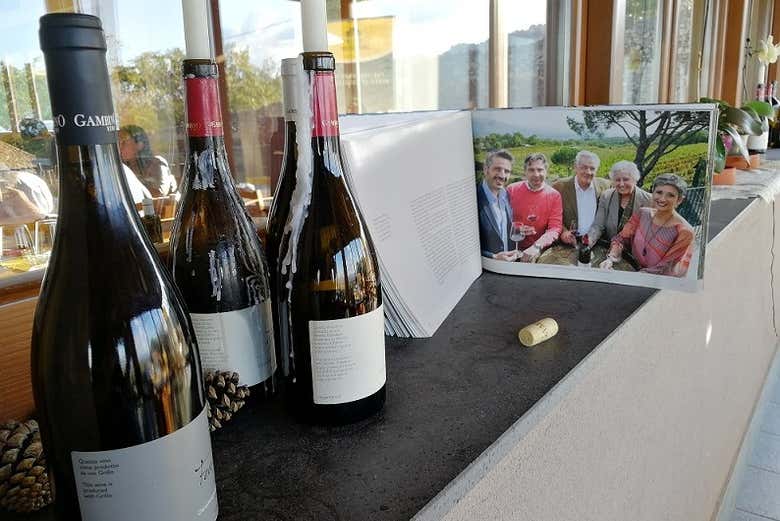 Diferentes garrafas de vinhos produzidos no Etna