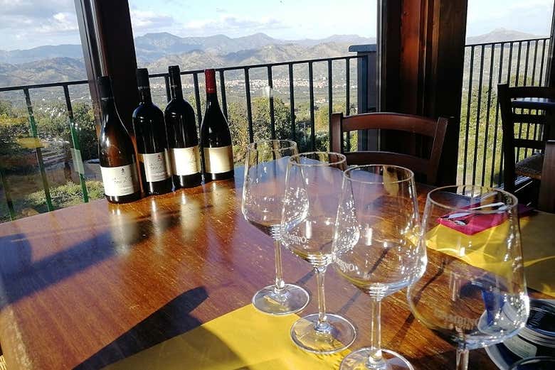 Desfrutando de vistas incríveis durante a degustação de vinhos