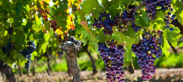 Tour por Taormina + Visita a uma adega do Etna