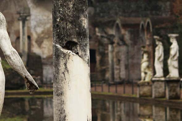 Visita guidata di Villa Adriana