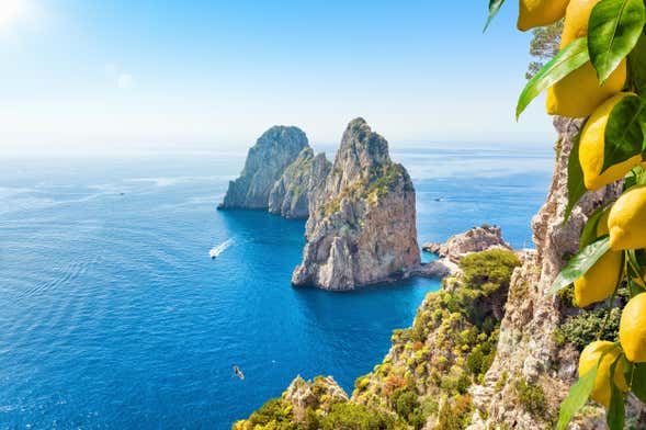 Capri Boat Excursion