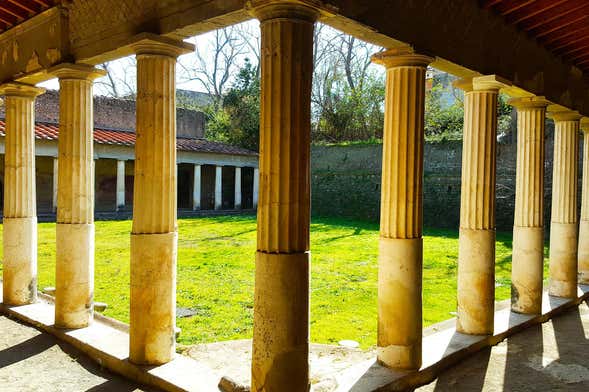 Oplontis Private Guided Tour