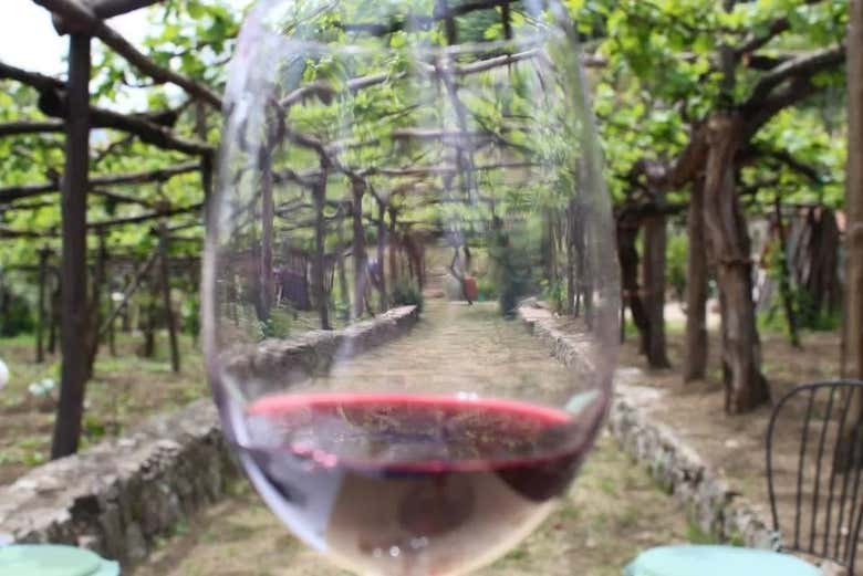 Taste the difference between various wines