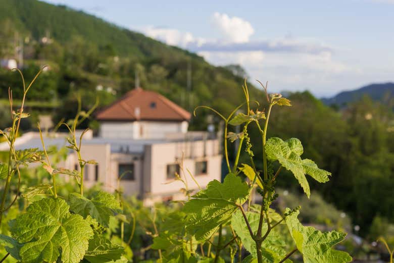 Le beau paysage de Tramonti