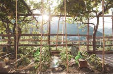 Visita a la bodega Apicella