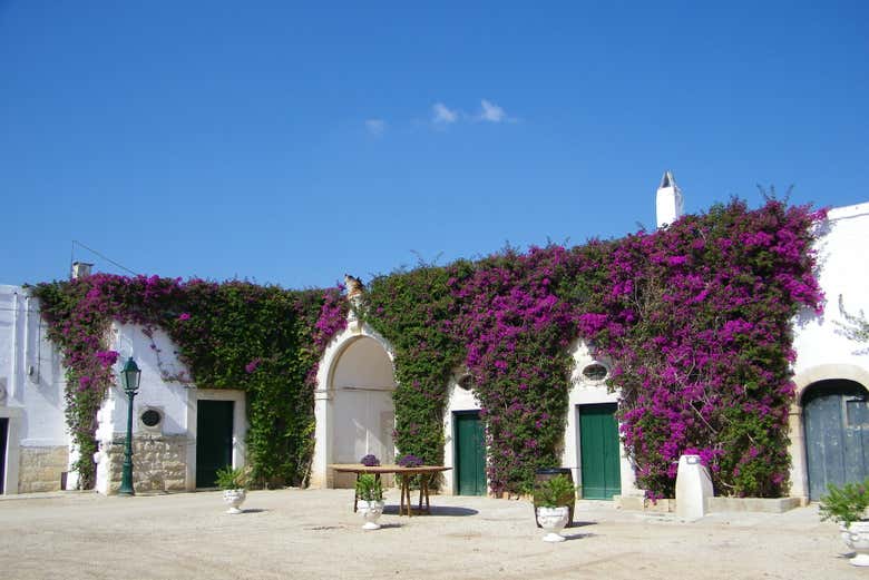 Welcome to the winery!