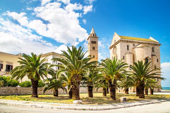 Visita guidata di Trani