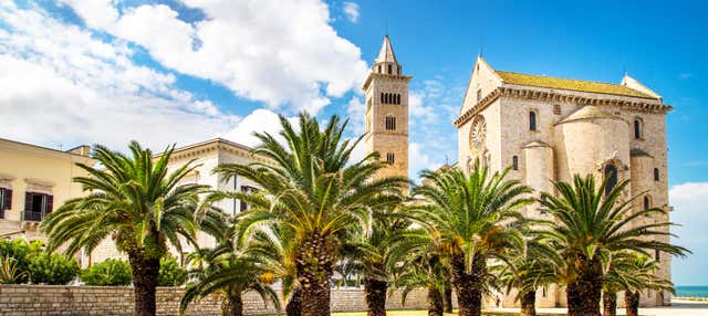 Visita guidata di Trani