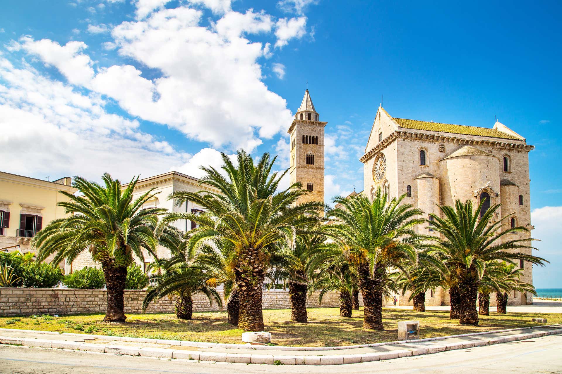 Trani Guided Tour