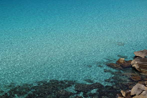 Excursión en velero a Favignana y Levanzo