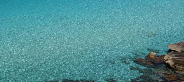 Excursión en velero a Favignana y Levanzo